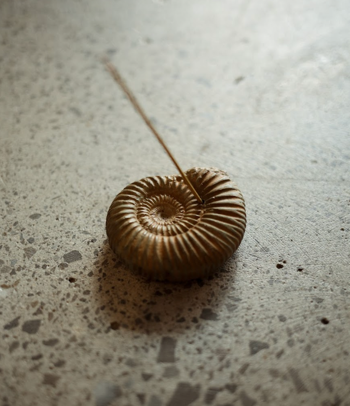 Bronze Fossil Incense Burner
