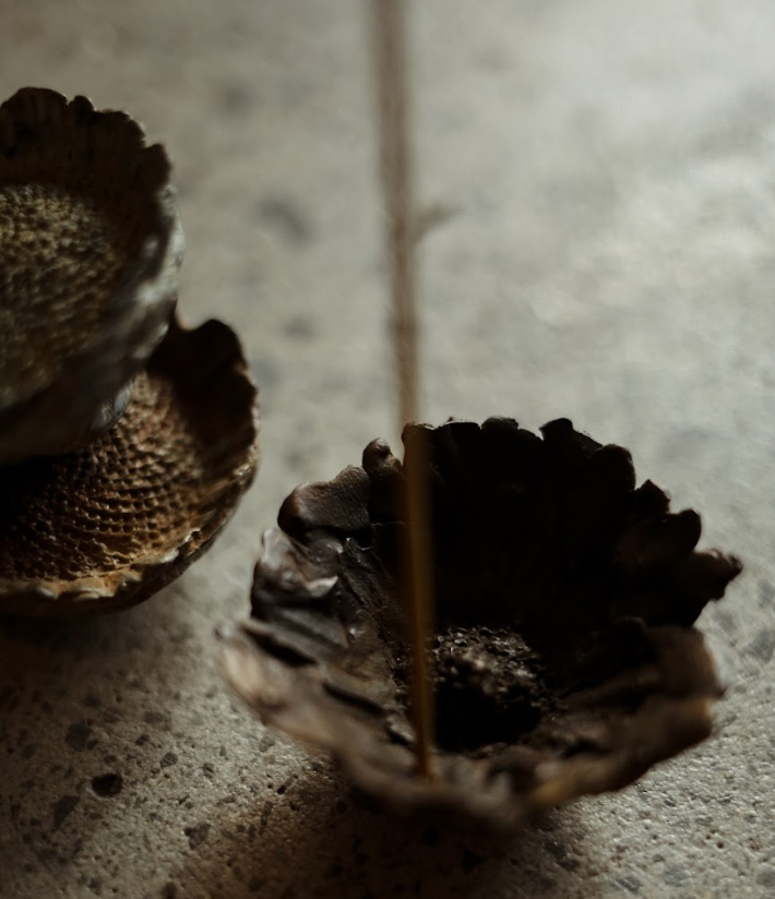 Bronze Protea Seedpod Incense Burner